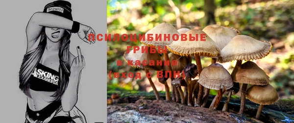 таблы Алексин